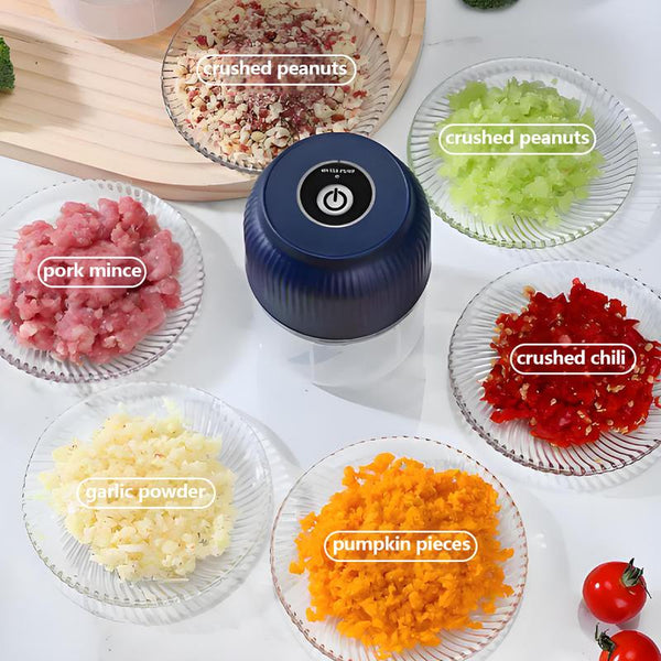Electric Garlic Chopper,Mini Portable Veggie Chopper,300Ml Garlic Grinder Masher Onion Chopper, Blender to Vegetable, Cordless Food Processor for Ginger, Chili, Fruit, Meat, Spices, Beans, Etc
