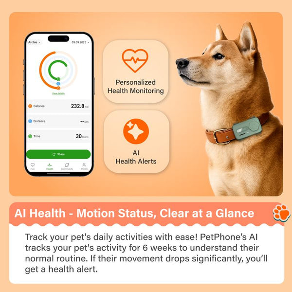 Glocalme Petphone GPS Tracker for Dogs & Cats - Real-Time Global Tracking, 2-Way Voice Calling, Pet Health Alerts, LED Light & Sound Locator, Waterproof, Works in 200+ Countries