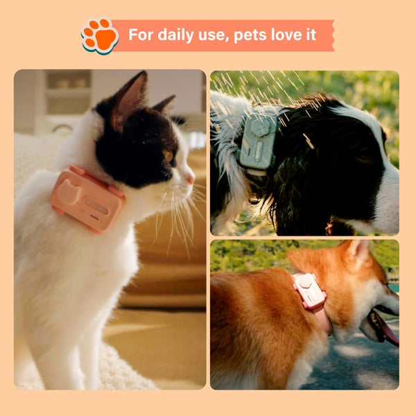 Glocalme Petphone GPS Tracker for Dogs & Cats - Real-Time Global Tracking, 2-Way Voice Calling, Pet Health Alerts, LED Light & Sound Locator, Waterproof, Works in 200+ Countries
