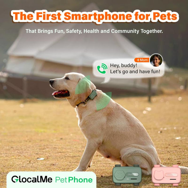 Glocalme Petphone GPS Tracker for Dogs & Cats - Real-Time Global Tracking, 2-Way Voice Calling, Pet Health Alerts, LED Light & Sound Locator, Waterproof, Works in 200+ Countries