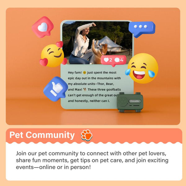 Glocalme Petphone GPS Tracker for Dogs & Cats - Real-Time Global Tracking, 2-Way Voice Calling, Pet Health Alerts, LED Light & Sound Locator, Waterproof, Works in 200+ Countries