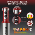 PRASKY Electric Immersion Blender Handheld, 20 Speeds Hand Blender with Turbo Mode, Stainless Steel Blade, Egg Whisk, Beaker & Chopper Bowl, Stick Mixer for Soup, Smoothie, Puree, Baby Food